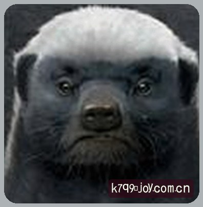 王叔